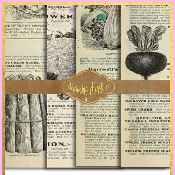 Vintage Seed Magazine Pages - Printable Paper - Vintage Ephemera for Your Junk Journal, Gluebook, Scrapbook, Collage Art, or Papercraft