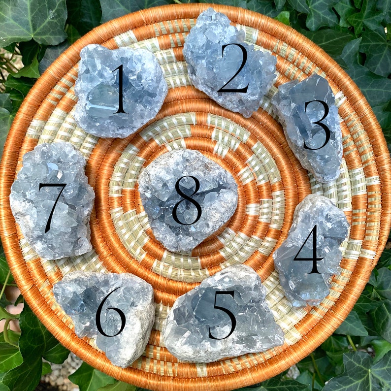 You Choose Home Decor Celestite Crystal Geode Sacred Space Celestine Crystal Geode Healing Crystals Mineral Specimen