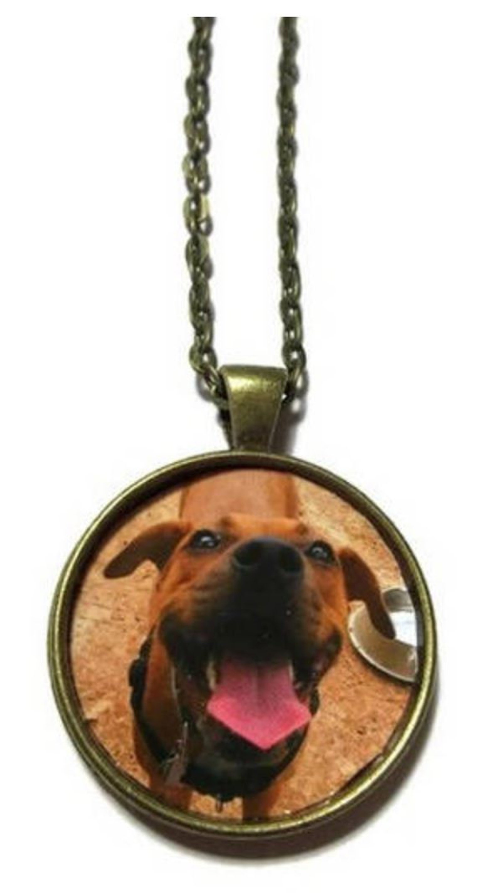 Custom Dog Necklace Your Pet Photo Necklace Picture Etsy