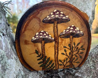 Placa de hongo pirograbado: arte de follaje pirograbado