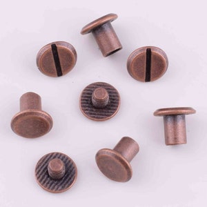 May include: Eight antique copper-colored metal rivets with a flat head and a threaded shank. The rivets have a slightly textured surface.
