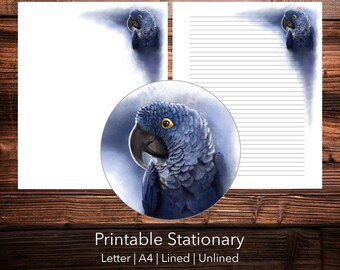 Printable Parrot Stationery Paper | 8.5x11, A4 | Letter Writing | Digital Download | Lined Unlined | Birds | Macaw