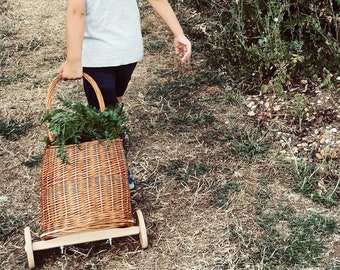 Natuurlijke rieten kindertrolley: boodschappenmand en speelgoedmand