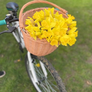 Bicycle wicker basket, basket with hooks, handlebars basket, front bike basket, bicycle basket, bike basket,  size M