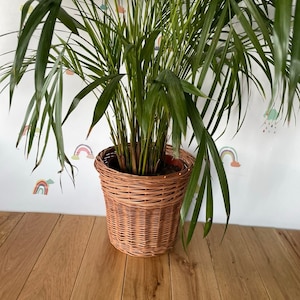 Wicker plant pot , Wicker flower pot