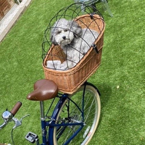 Wicker Basket Bicycle LARGE Cat Dog Transporter Handmade Etsy