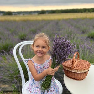 Picknickmand voor kinderen Rieten picknickmand voor kinderen Zintuiglijke mand, picknickmand voor kinderen, mand met deksel