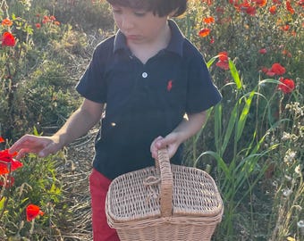 Puede incluir: Un niño pequeño con una camisa polo azul y pantalones cortos rojos camina por un campo de amapolas rojas mientras sostiene una cesta de picnic de mimbre.