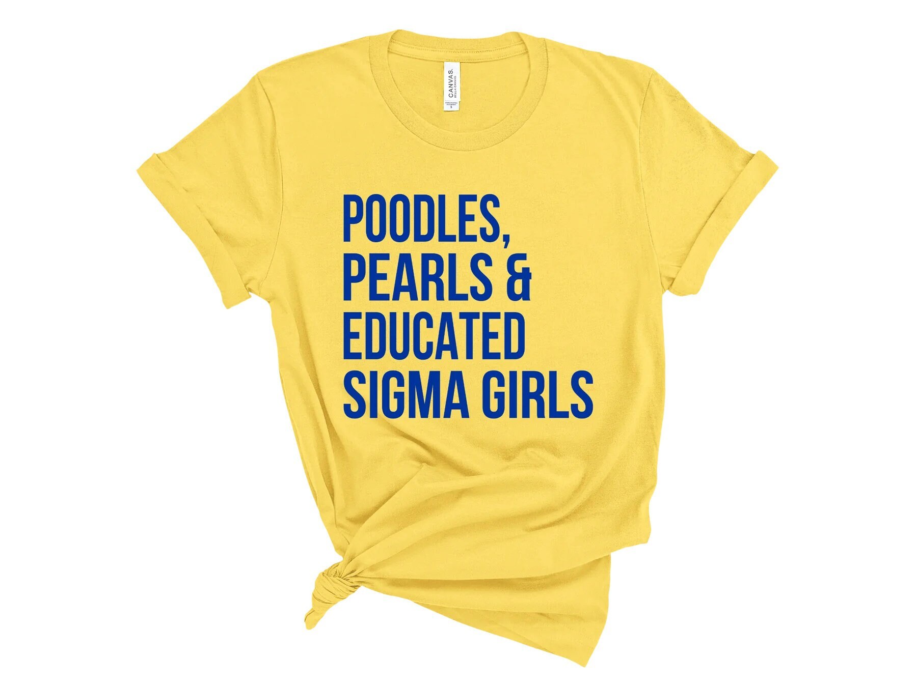 Womens Sigma African Pretty Black And Educated Rho T-Shirt Womens Sigma African Pretty Black And Educated Rho T-Shirt
