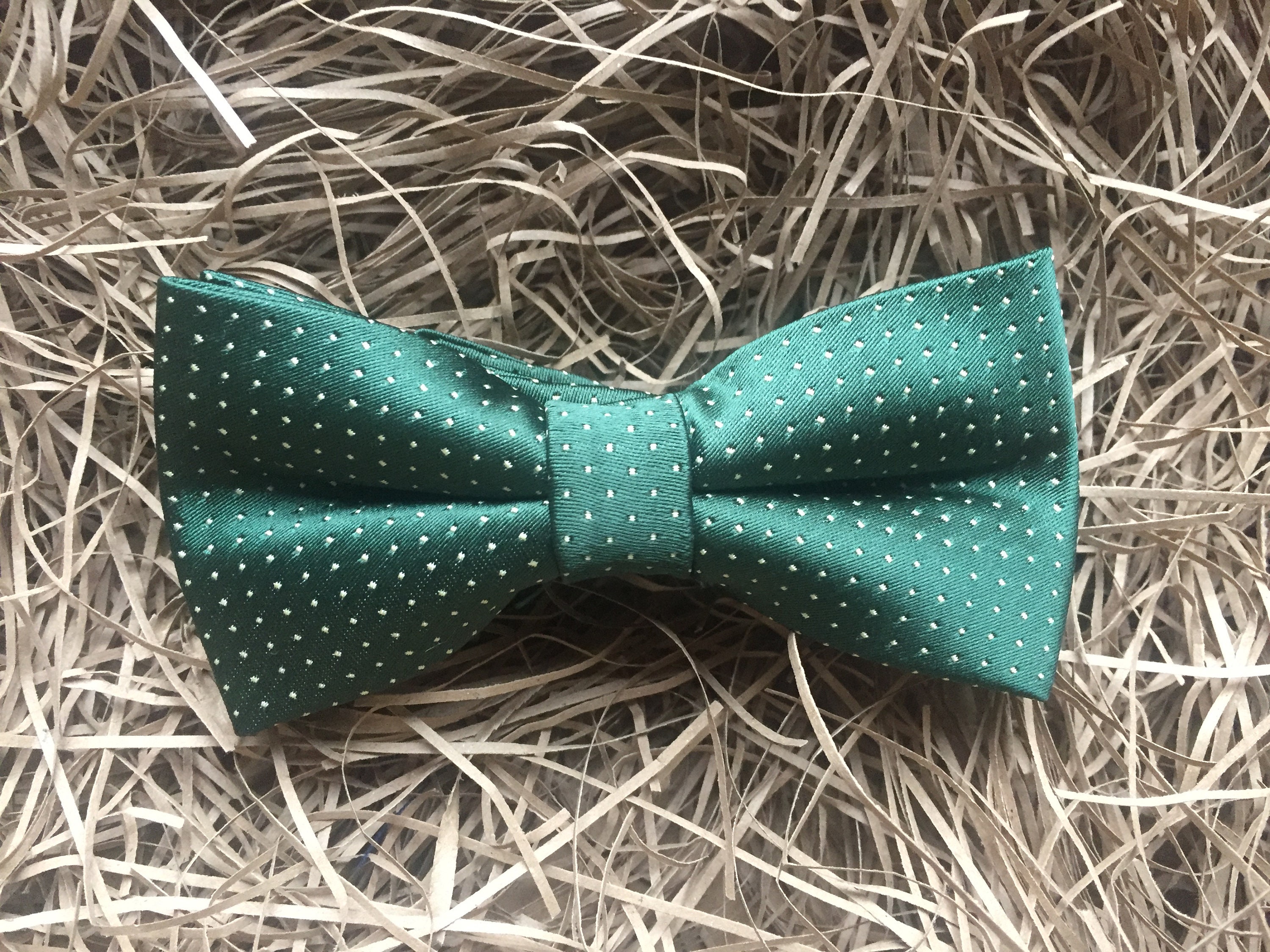 The Eucalyptus Green Polkadot Bow Tie Ties For Men Gifts Etsy