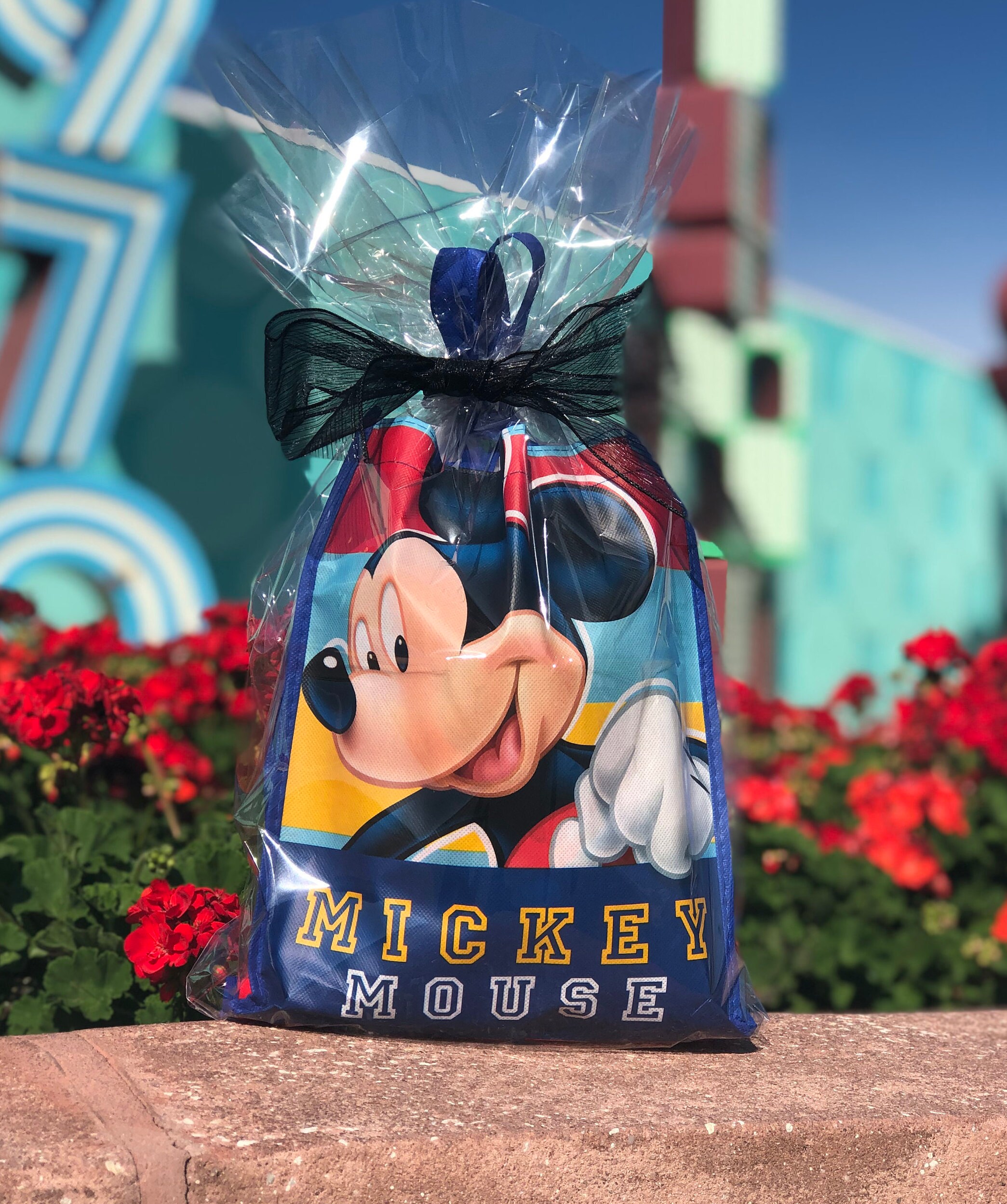 DISNEY GIFT BASKET//Disney World Gift//Custom Disney World Etsy