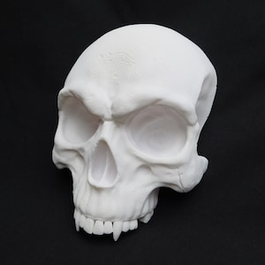 Replica Human Skull With Fangs, White Vampire Style Skull, 3D Printed Gothic Gift