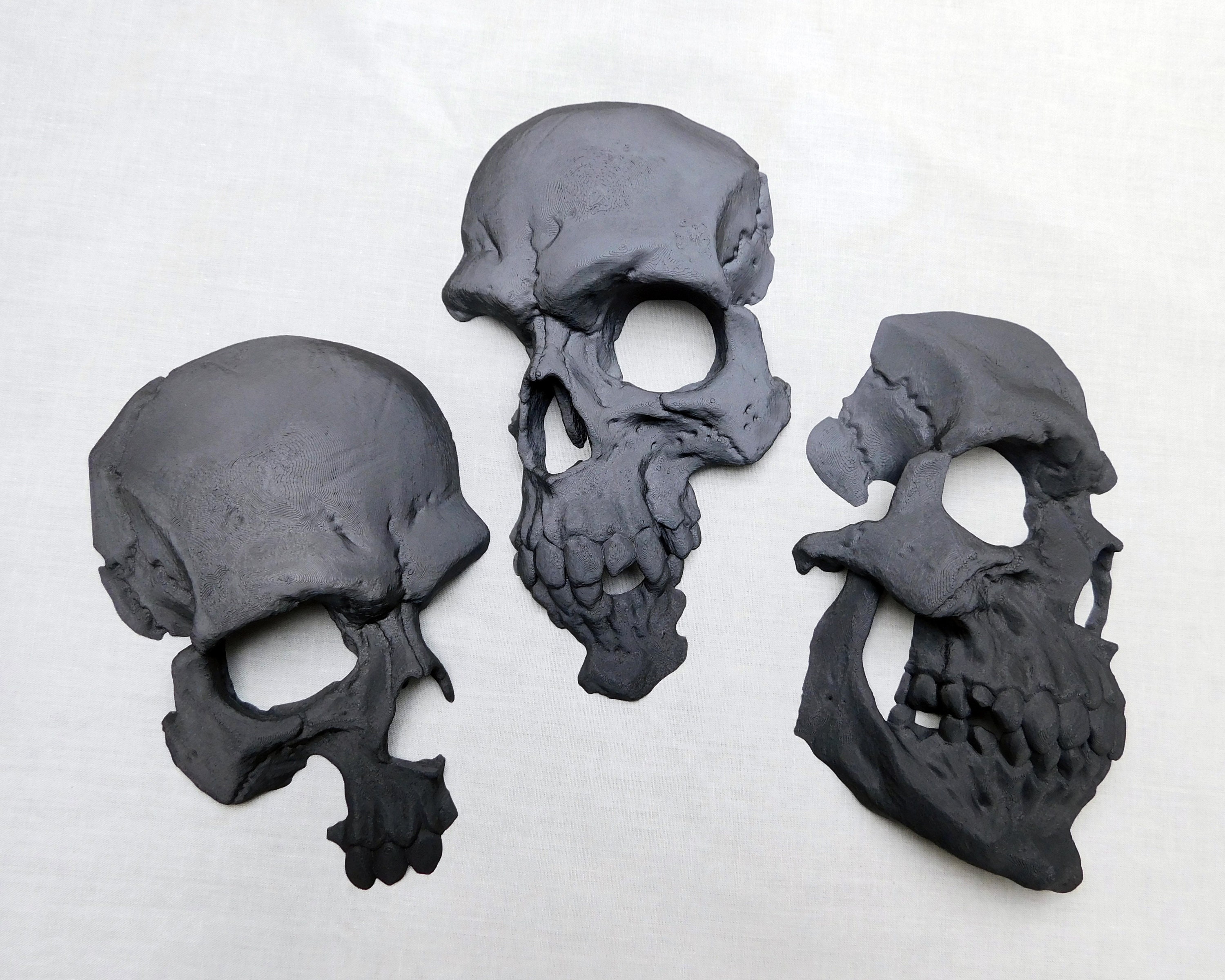 Skull on sale wall decor