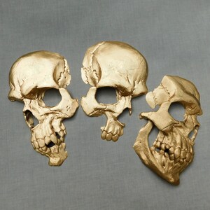 Gold Skull Wall Decor: 3D Printed Decayed Skulls - Set of 3