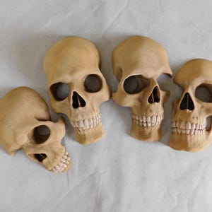 Skull Wall Hanging Set, 4-Piece Skull Wall Art, 3/4 Scale Gothic Home Decor
