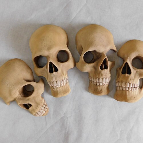 Skull Wall Hanging Set, 4-Piece Skull Wall Art, 3/4 Scale Gothic Home Decor