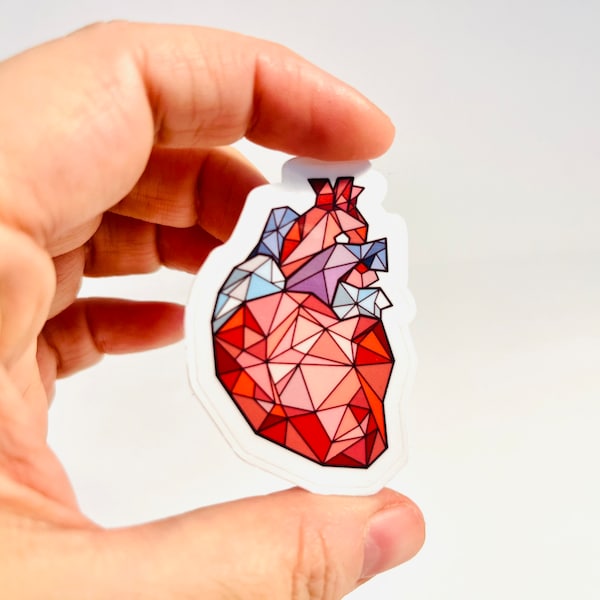 Geometric heart | Congenital Heart Defect | Water Resistant Sticker, decal for water bottle, phone, laptop | Anatomical Heart CHD awareness