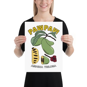 Pawpaw Fruit Tree Asimina Triloba Art Print, Food Forest Orchard Gardener Gift Poster Illustration Wall Decor