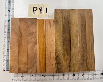 P79 Black Cherry & Black Locust Pluma de madera dura exótica doméstica Turning Blanks (10 unidades) Muestra de maderas premium de calidad mixta