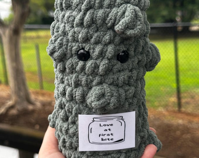 Crochet Emotional Support Pickle