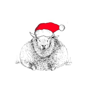 Cartões de Natal (em branco) - Ovelhas
