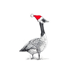 Holiday Cards (Blank) - Canada Goose