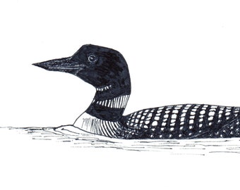 May include: A black and white line drawing of a loon swimming in water. The loon has a long neck and a pointed beak. The loon's body is covered in black and white spots.