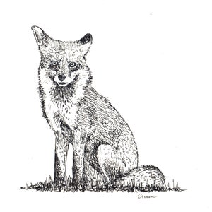 Blank Note Cards - Red Fox