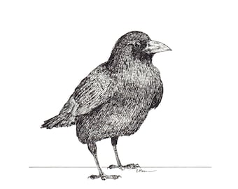 Crow - Print