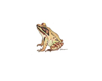 Wood Frog - Print