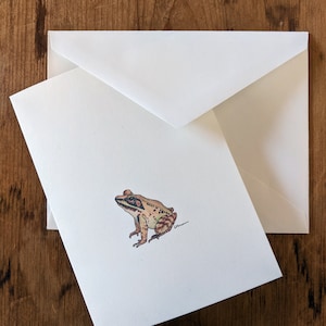 Cartes de correspondance vierges - Grenouille des bois