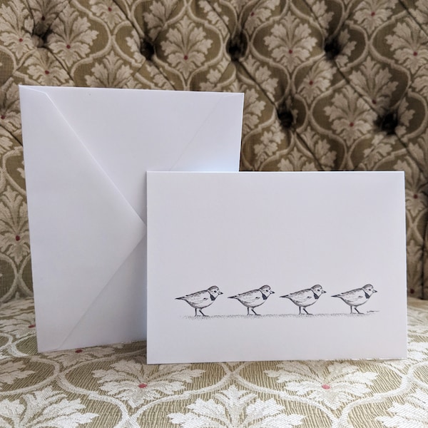 Blank Note Cards - Piping Plover