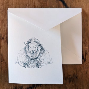 Blank Note Cards - Sheep
