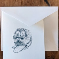 Squirrel Note Cards, Woodland Animal Note Cards, Squirrel Lover Gift - Etsy