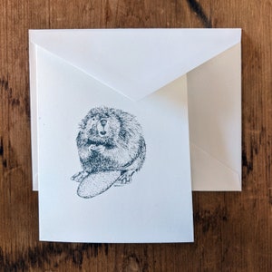 Cartões de notas em branco - Castor