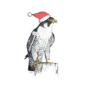 Cartões de falcão peregrino de férias (em branco)