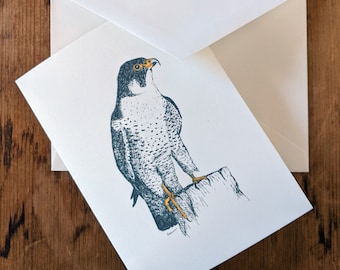 Blank Note Cards - Peregrine Falcon