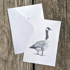 Blanko Grußkarten - Kanada-Gans