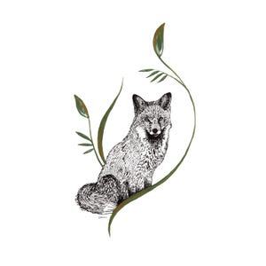 Blank Note Cards - Red Fox