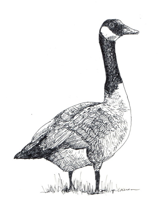 Canada Goose Print Etsy