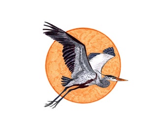 Blank Note Cards - Great Blue Heron