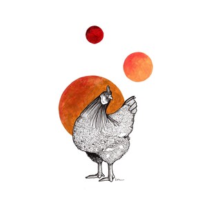 Blanko Grußkarten - Huhn