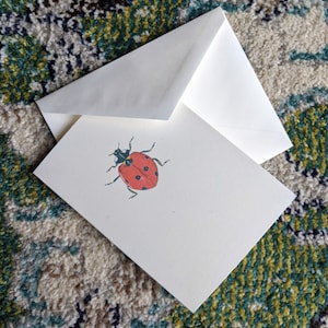 Blank Note Cards - Ladybug (Variety Pack)