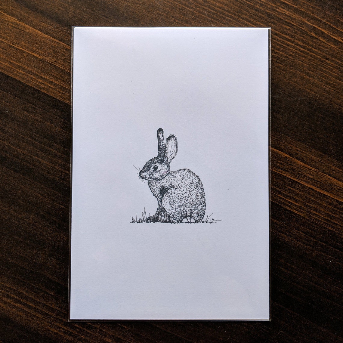 Eastern Cottontail Rabbit Print Etsy