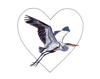 Blank Note Cards - Great Blue Heron Heart