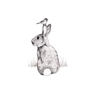 Cartes de notes vierges - Lapin & Mésange