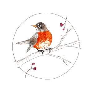 Tarjetas de notas en blanco - American Robin