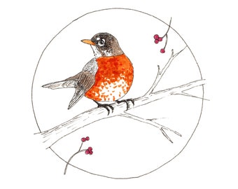 Blank Note Cards - American Robin