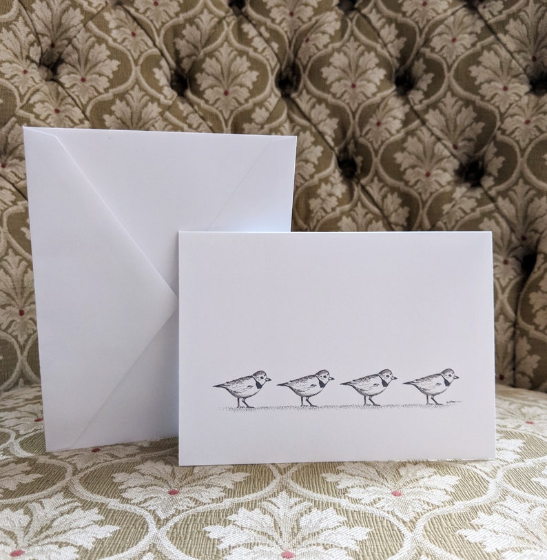 Blank Cards Piping Plover