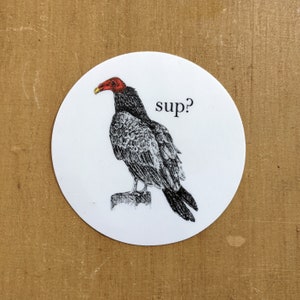 Sticker - Turkey Vulture
